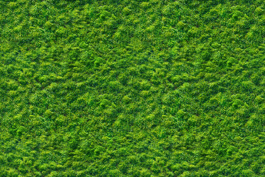 seamless green  grass texture pattern