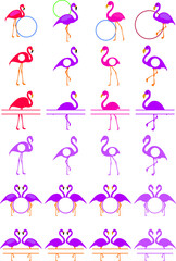 Flamingo Monogram