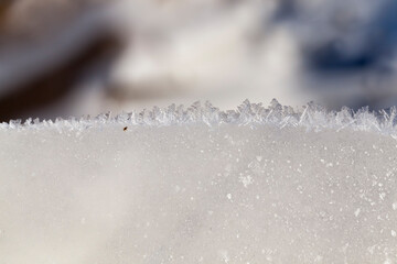 a thick layer of ice formed on the territory of the field