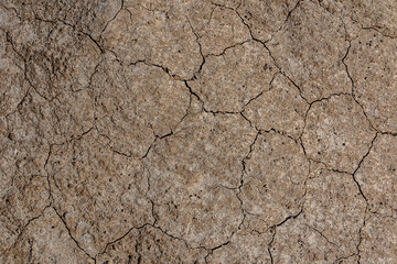 Cracked dry texture of brown soil, dehydrated soil, with dried plant remains. Seamless ground background, with evenly distributed cracks