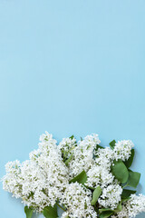 Spring mock up, flat lay. White flowers lilac on blue background. Decorative border. Top view flat lay. Copy space.