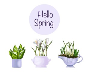 A set of flowers in pots. The first flowers, primroses. Tulip, narcissus, lily of the valley. Hyacinth, muscari, snowdrop. Watercolor drawing, pastel colors