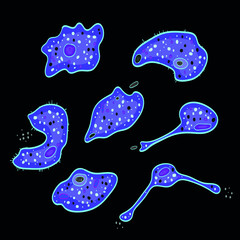 Fototapeta Innate immune system: macrophages cells, vector illustration obraz