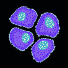 Fototapeta Innate immune system: mast cells, vector illustration obraz