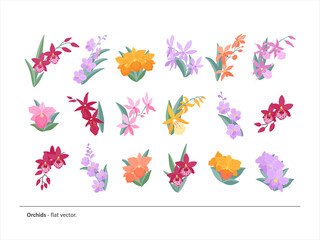 A big set of twigs, small bouquets and flower arrangements of different varieties of orchids. Light, elegant flowers for your compositions, congratulations design and the like. Flat vector.