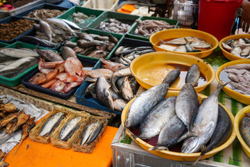 Colorful choice of fish at a market. Various fresh fish and seafood. Top down view on multiple rows of various raw freshly caught fish on ice for sale in Kudus, Central Java, Indonesia.