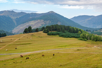 Fototapeta na wymiar Beautiful landscape of the mountainous region of Georgia, Tusheti