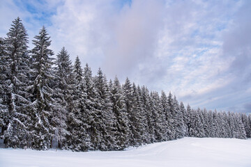 Landschaft im Winter im Thüringer Wald in der Nähe von Schmiedefeld am Rennsteig