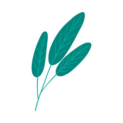 Green hand-drawn tropical leaf vector illustration