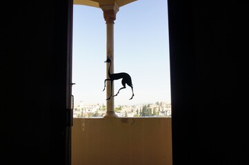 アルハンブラ宮殿　窓