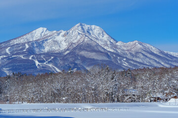 Fototapeta na wymiar 冬信濃町からの妙高山　雪景色