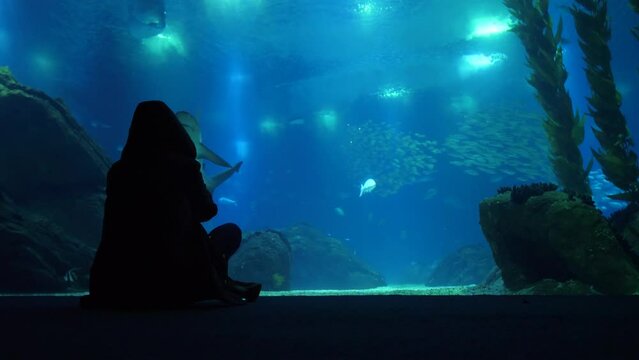 silhouette of girl sitting in aquarium taking picture of shark slow motion 4k