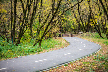 bicycle path in autumn forest