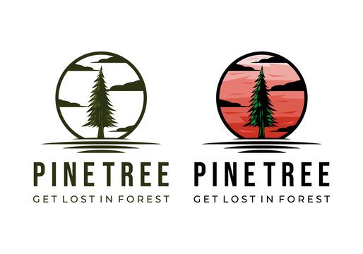 Logo Pine Tree Circle Vector Illustration Template Good for Any Industry