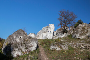 Fototapeta na wymiar Limestone rocks in Podlesice, Silesian Voivodeship, Poland. Upland Krakow-Czestochowa.