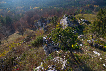 Limestone rocks in Podlesice, Silesian Voivodeship, Poland. Upland Krakow-Czestochowa.