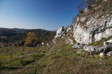 Limestone rocks in Podlesice, Silesian Voivodeship, Poland. Upland Krakow-Czestochowa.