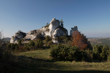 Limestone rocks in Podlesice, Silesian Voivodeship, Poland. Upland Krakow-Czestochowa.