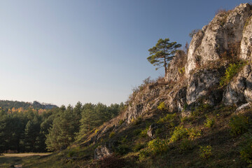 Limestone rocks in Podlesice, Silesian Voivodeship, Poland. Upland Krakow-Czestochowa.