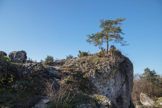Limestone rocks in Podlesice, Silesian Voivodeship, Poland. Upland Krakow-Czestochowa.