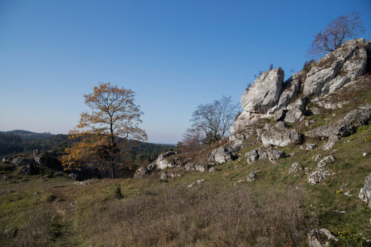 Limestone rocks in Podlesice, Silesian Voivodeship, Poland. Upland Krakow-Czestochowa.