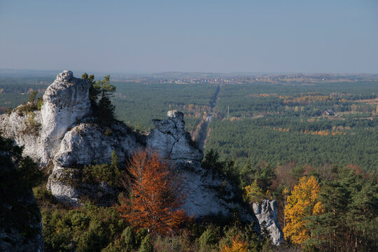 Limestone rocks in Podlesice, Silesian Voivodeship, Poland. Upland Krakow-Czestochowa.