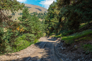 View in Mountains. Road to Shenako village from Diklo in Tusheti region