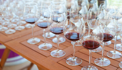 A lot of glasses with wine on the table for tasting
