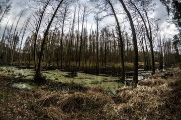 Brandenburg im Weitwinkel 03 - Bestensee