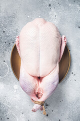 Raw free range whole duck. White background. Top view