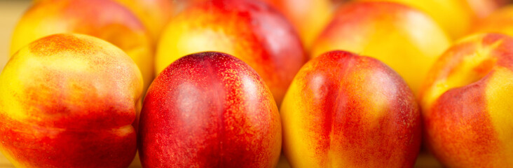 Nectarines close-up. Banner