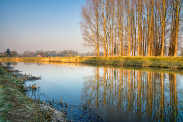 Row of trees along the river Berkel