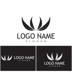Feathers icon Vector Illustration design Logo template