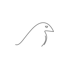 Fototapeta premium dolphin isolated on white
