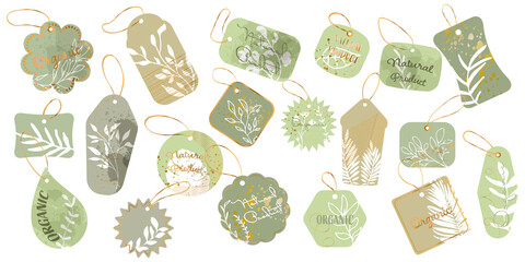 Labels with plant ornaments and gold hanger ribbons. Hand drawn. Vintage organic vector set. Illustration of eco natural vegan tag, label market for product design.