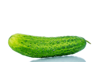 One ripe green cucumber, macro, isolated on white background.