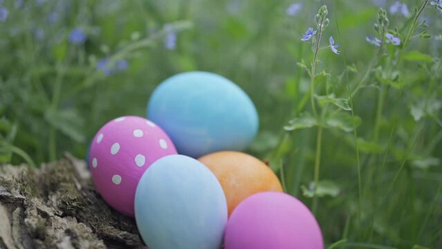 Decorated easter eggs in grass closeup, low shallow of focus