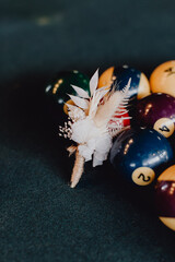 La boutonnière du marié posée sur les boules de billard