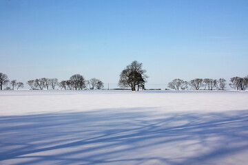 Der winterlandschaft am finnischen meerbusen