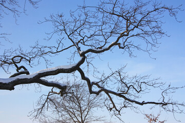 Der winterlandschaft am finnischen meerbusen