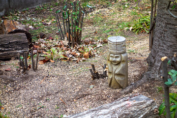 a lot of flowers in a garden