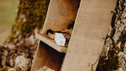 Chasse au trésor dans le jardin  © lorabarra