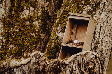 Objet caché dans l'arbre