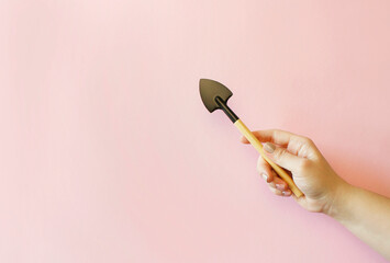 Female hands with gardening tool and houseplant on color background