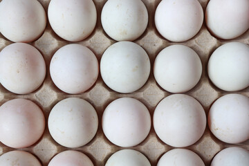 Close up of Eggs white in paper tray on black background