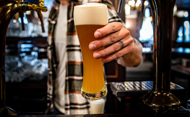 Fototapeta na wymiar bartender pouring a draught beer in glass serving in a bar or pub
