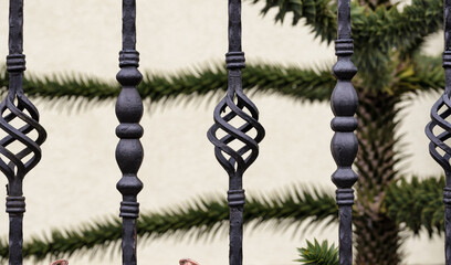 Ornaments on wrought iron fence 