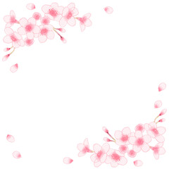 Fototapeta premium 桜のイラストのフレーム素材