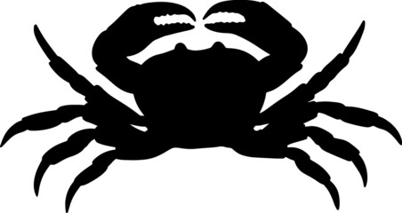 Illustration of a crab. Marine arthropod animal. A relative of cancer, lobster, shrimp. Seafood delicacy. Vector image