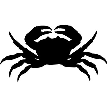 Illustration of a crab. Marine arthropod animal. A relative of cancer, lobster, shrimp. Seafood delicacy